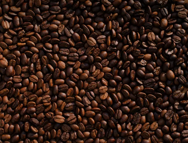 В Коми могут построить завод по производству кофе